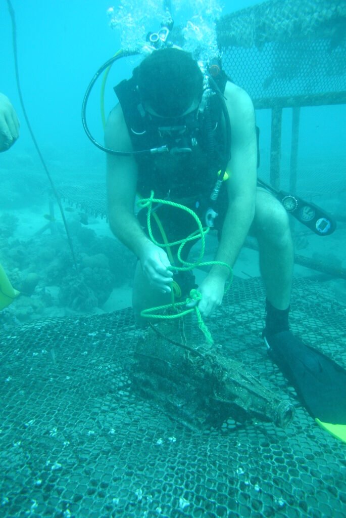 Indoor Storage in Tamworth: Give Your Dive Kit a Proper Home scuba lift bag training
