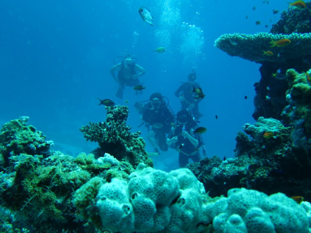 Indoor Storage in Tamworth: Give Your Dive Kit a Proper Home scuba lift bag training