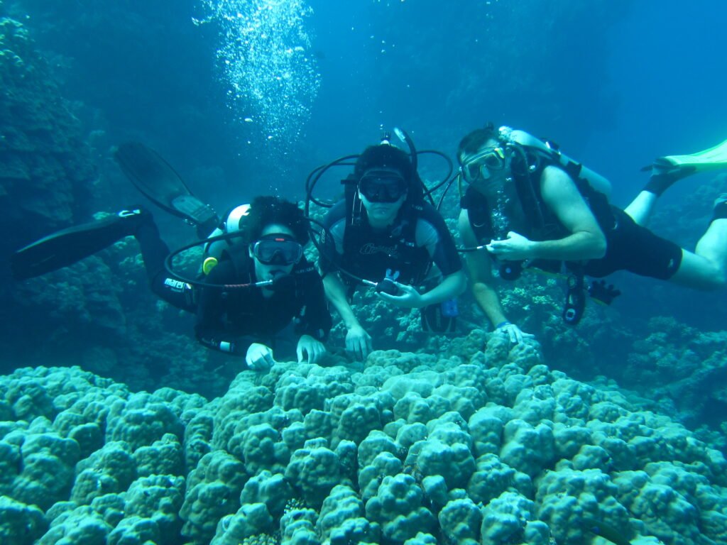 Indoor Storage in Tamworth: Give Your Dive Kit a Proper Home scuba lift bag training